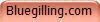 Bluegilling.com